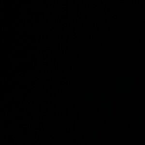 Meet your Posher, Lilly